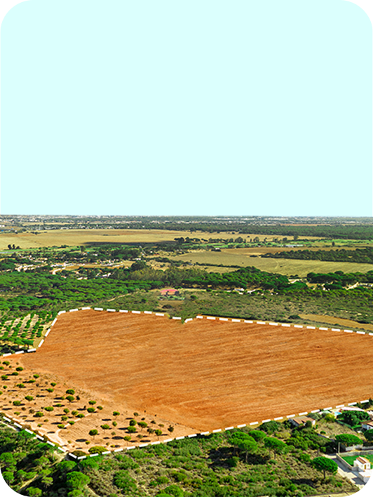 Plot for Sale in Mohali